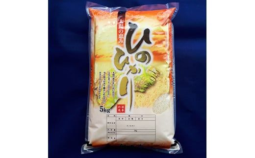 【令和7年度】《新米》【11月下旬より順次発送予定】大和米　奈良県広陵町産ヒノヒカリ　七分づき米5kg// お米 ひのひかり お米 広陵町