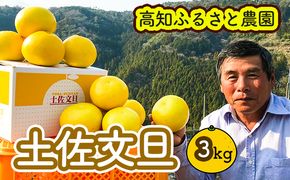 土佐文旦贈答用約3ｋｇ（高知ふるさと農園）　