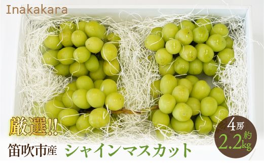 ＜2024年先行予約＞Inakakara厳選！笛吹市産シャインマスカット4房（約2.2kg） 192-017