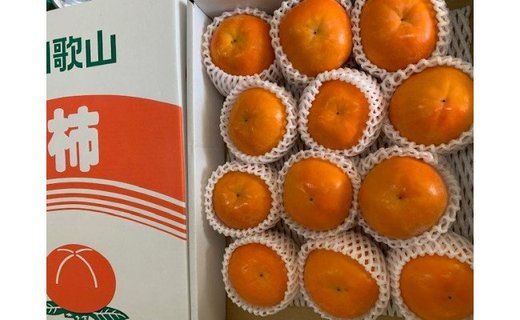 ya̎RLc쒬zxL` ԏGi LTCY ϔi12~13j CC40