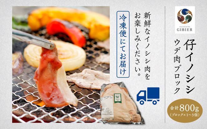 仔イノシシ ウデ肉 ブロック800g 010178