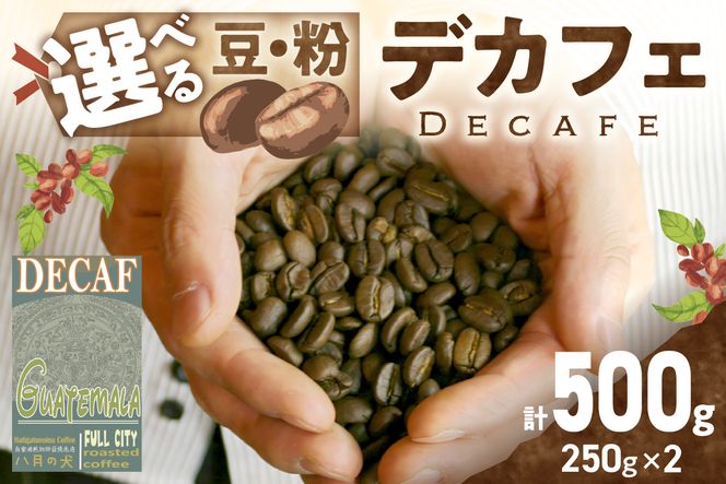 【デカフェ】自家焙煎　グアテマラ カフェインレスコーヒー豆 500g（250g×2）八月の犬　珈琲豆　ドリップ　マタニティー 飲料 珈琲 こーひー コーヒー coffee HA00008