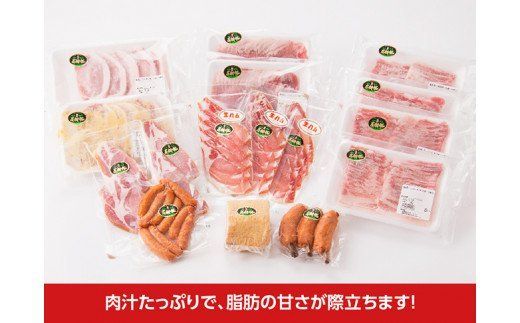 宮崎県産豚　毎日満腹食べられます!尾鈴豚セット 【 肉 豚肉 精肉 肉加工品 惣菜 詰め合わせ 】 [C00404]