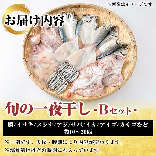 数量限定！阿久根市産の旬の一夜干しグルメ＜B＞セット(鯛・アジ・イカ・サバなど)国産 鮮魚 詰め合わせ お楽しみ 海の幸 魚介類 干物 海鮮【さるがく水産】a-24-34-z