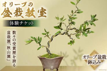 オリーブの盆栽教室 体験チケット / 秋山園 / 山梨県 韮崎市