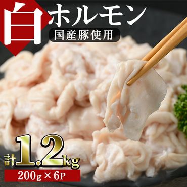 白ホルモン(約計1.2kg・200g×6P)豚肉 もつ モツ 小分け 冷凍 国産 おかず おつまみ【J-5】【幸食品】
