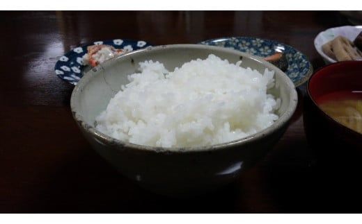 【令和7年産米】米の名産地 新潟県岩船産 特別栽培米 新之助 4kg（2kg×2袋） 1039014｜白米 食味鑑定士謹製 一等米 プレミアム米 新耕農産 ツヤツヤ 農家直送 低温倉庫保管 安心 安全 小分けサイズ こだわり