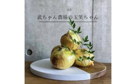 【2026年発送】【食品ロス削減】（訳あり）笑顔で笑顔を作る武ちゃん農場の新玉ねぎ“玉笑ちゃん” 9個　H095-030