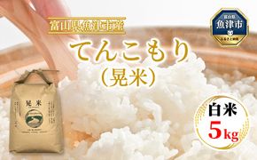 【令和6年度米】環境配慮「魚津のてんこもり（晃米）」5kg（白米） ｜ MK農産 白米 銘柄米 ご飯 おにぎり お弁当 和食 主食 国産 産地直送 甘み 香り もちもち ※2024年10月下旬頃より順次発送予定 ※北海道・沖縄・離島への配送不可