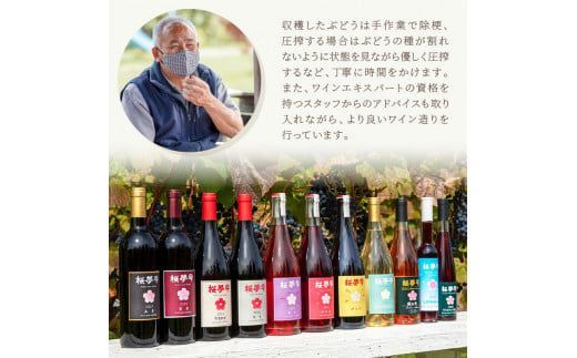 北見産ぶどう100％のワイン 桜夢雫 緋色ロゼ ( ワイン 国産 ブドウ ロゼ 辛口 750ml )【075-0002】