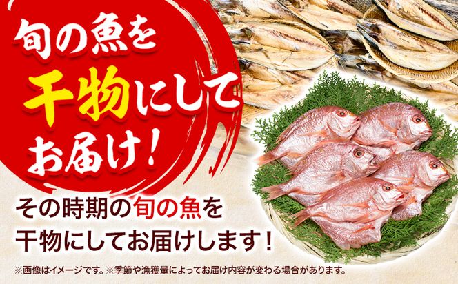 干物 ひもの 海鮮 熟成干物セット 5~7種 セット 笠岡魚市場《45日以内に出荷予定(土日祝除く)》岡山県 笠岡市 旬 魚 お魚---B-03---