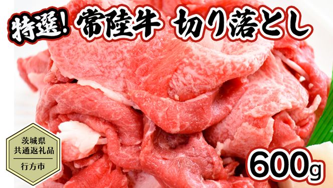 y錧㒬zy錧ʕԗi^ssz 헤 ؂藎Ƃ 600g   Ђ uh p Y јa ō ؂藎Ƃ XCX Ԃ J[ ϕ [CF006ya]