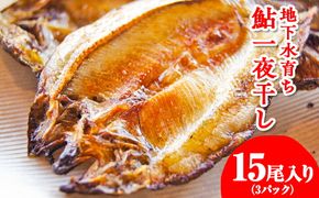 地下水育ち　鮎一夜干し　5尾入り3パック