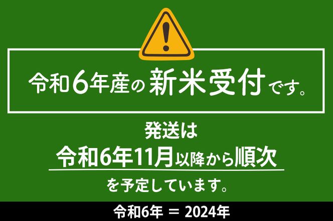 仙北市産 もち米とこしひかりのセット 令和6年産 新米 先行受付 各2kg 2袋|02_kum-010401