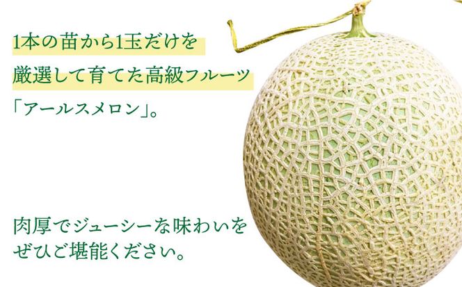 【2026年11月中旬～発送】【数量限定】【高級フルーツ】 アールスメロン 2玉 / 果物 フルーツ メロン めろん / 南島原市 / 長崎県農産品流通合同会社 [SCB074] 先行受付 メロン 先行予約 青肉 メロン 3kg以上 青肉メロン メロン 