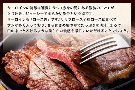 牛肉 あか牛 サーロイン ステーキ 500g ( 250g x 2枚 ) 牛肉 冷凍 《2026年1月中旬-3月末頃出荷》 冷凍庫 個別 取分け 小分け 個包装 ステーキ肉 あかうし 赤牛 あか牛丼 にも サーロインステーキ---oz_fakasir_bc13_r7_19000_500g---