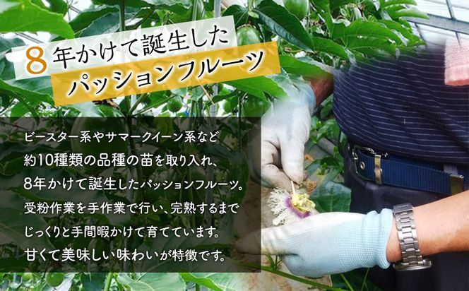 《2024年発送》期間・数量限定８年かけて誕生した宮崎県産極上パッションフルーツ　Ｌ　2kg_M057-005