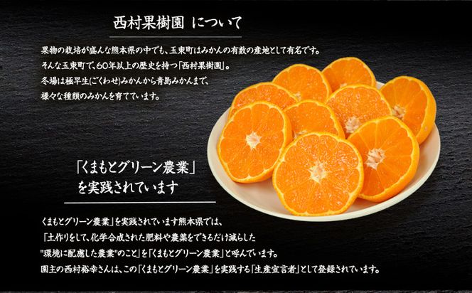 『西村果樹園』のみかん★約3.5kg(S-2Sサイズ) 【日付指定不可】 予約受付中 フルーツ 旬★熊本県玉名郡玉東町 みかん 減農薬・有機肥料で育てた自慢のおいしさ！《10月上旬-1月下旬頃出荷》---sg_nkjmikan_ak101_24_8500_3500g---