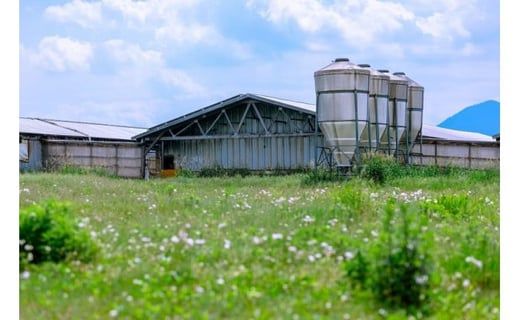 富士ケ嶺ポーク【焼肉用セット】総重量約2.3kg FAB019