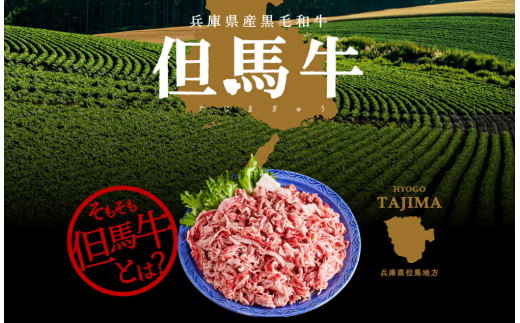 015AA02N.「但馬牛経産牛切り落とし」１ｋｇ