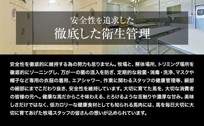 赤身馬刺し300g【純国産熊本肥育】 たっぷり300g 約100g×3ブロック(タレ5ml×3袋) 生食用 冷凍《3-7日以内に出荷予定(土日祝除く)》送料無料---mna_fakmb_u_26_10000_300g---