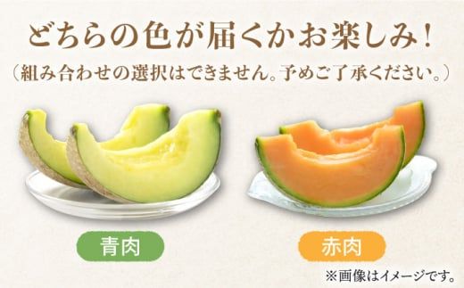 【2026年11月中旬～発送】アールスメロン (2玉) 南島原市 / JA島原雲仙東南部基幹センター[SAC004] 