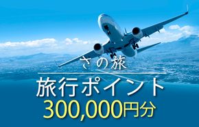 099V024 さの旅 旅行ポイント300,000円分