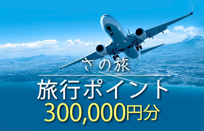099V024 さの旅 旅行ポイント300,000円分