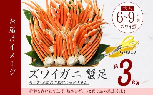 【年内配送 12月21日まで受付】3332.  ボイルズワイガニ足 3kg 約6-9人前 食べ方ガイド・専用ハサミ付 カニ かに 蟹 送料無料 期間限定 数量限定 北海道 弟子屈町