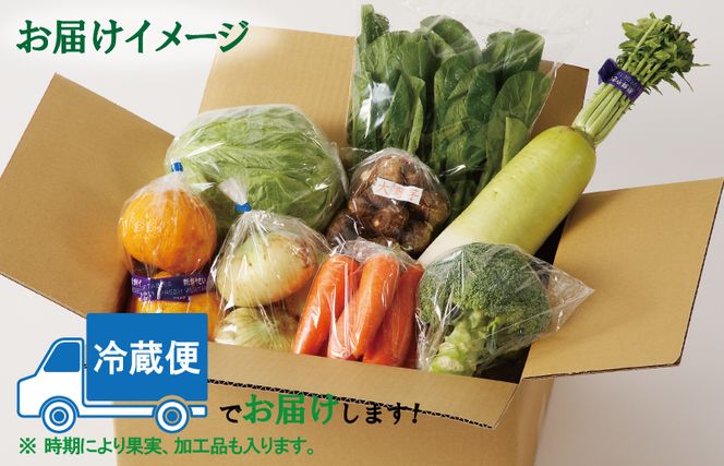 099Z113 泉州野菜 定期便 全6回 7種類以上 詰め合わせ 国産 新鮮 冷蔵【毎月配送コース】