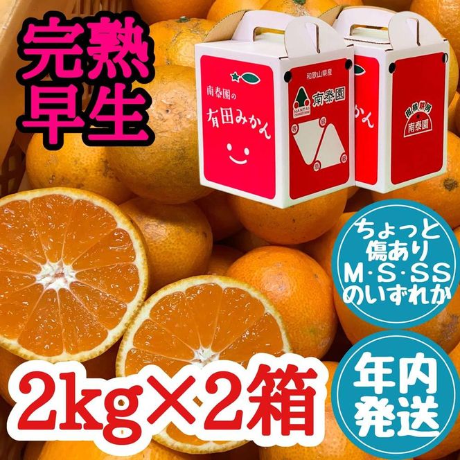 年内発送 ちょっと傷あり 完熟早生 有田みかん M～SS サイズ 2kg × 2箱 手さげ箱 和歌山 南泰園 BS641