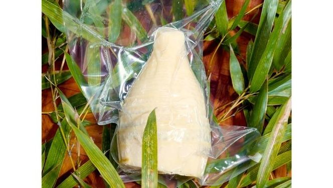 《 先行予約 》 新鮮な ゆでタケノコ 約2kg 【2026年4月上旬以降発送】 竹の子 2キロ 筍 たけのこ 水煮 真空パック 国産 たけのこご飯  [DU002us]