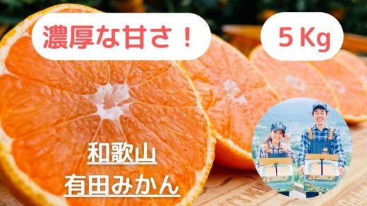 ya̎RLc쒬zy_ƒzZȊÂ݂̑5kg/yI݂ẑ݂݂_  DM002