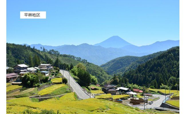 ★令和7年度産★【新米】特選米10kg　天日干し 精米済 山梨県富士川町産 棚田米 お米 こしひかり コシヒカリ 平林