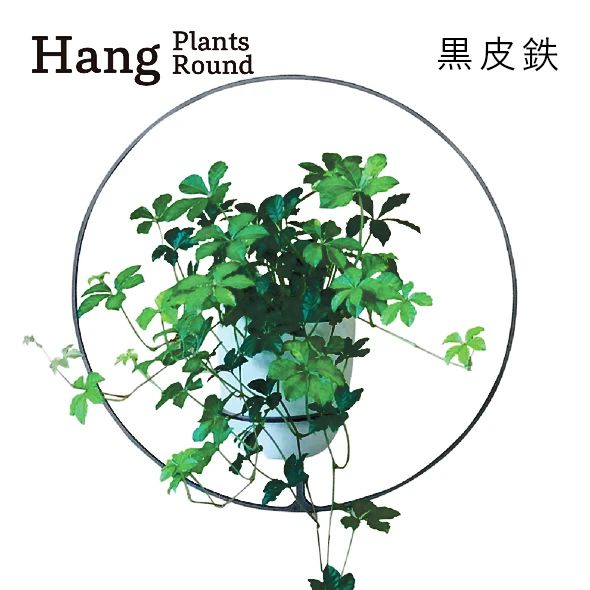 GRAVIRoN Hang Plants シリーズ Triangle/Diamond/Round セット 黒皮鉄（プランツハンガー） 観葉植物 プランター