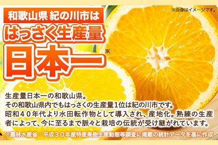 【訳あり/ご家庭用】はっさく 約4kg (4L~Sサイズ)サイズ不選別 早生 晩生指定不可 《2024年2月上旬-4月中旬頃出荷》和歌山県 紀の川市 産地直送 みかん 八朔 柑橘 果物 フルーツ ご家庭用 ビタミンC たっぷり---wfn_wlocal7_2j4c_24_7000_4kg---