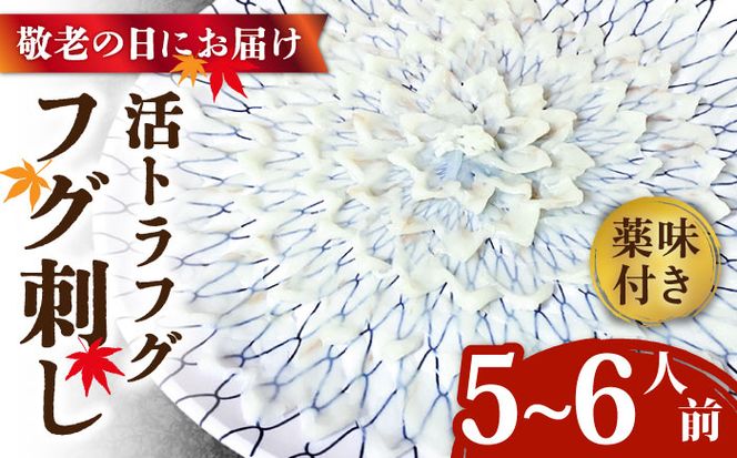 y茧쓇szyhV̓ɂ͂Izy茧YzgtO tOhi5`6lOj / ӂ hg 쓇s / Ȃ[SCH067]