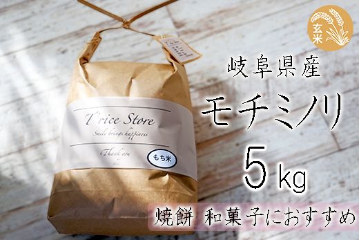 BE-9b T rice Store 岐阜県産モチミノリ(玄米) 5kg