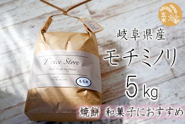 BE-9b T rice Store 岐阜県産モチミノリ（玄米） 5kg