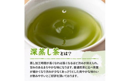 宮崎県産茶　深蒸煎茶（赤）100ｇ10袋セット 【 宮崎県産 川南町産 茶 お茶 国産茶 】[C08701]