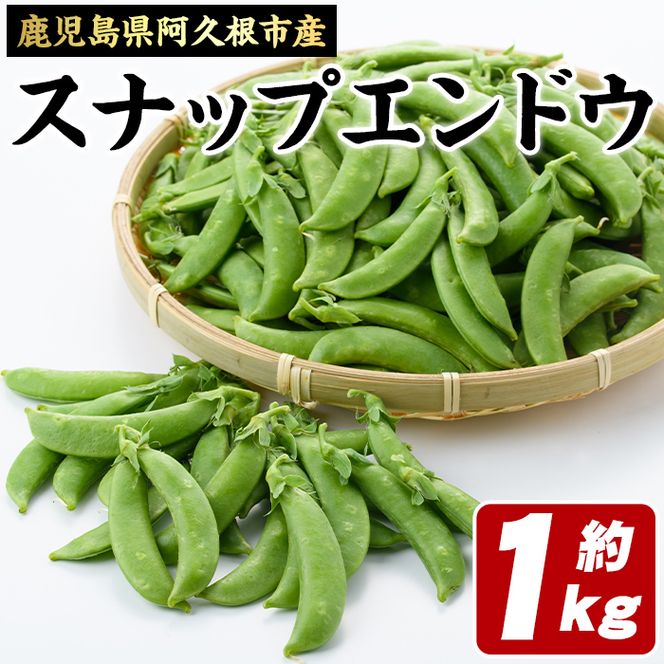 ＜先行予約受付中！2026年1月以降順次発送予定＞スナップエンドウ(1kg) 旬 国産 豆 マメ まめ 野菜 セット 詰め合わせ 数量限定 サラダ 炒め物【黒坂青果】akn049-01
