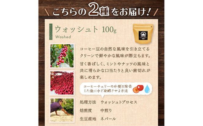 【訳あり】スペシャルティコーヒー 豆 200g ～極北の秘宝！ヒマラヤ（ネパール）の恵みを受けた自家焙煎～【166-0001】