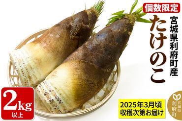 宮城県利府町産 採れたて たけのこ 皮付き2kg以上（2〜6本）筍 タケノコ 野菜 国産 新鮮 旬|06_ods-020201