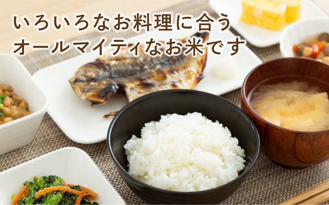 【令和7年産】ひとめぼれ 20kg ( 5kg × 4袋 ) 米 一等米 白米 福島県 田村市 ふぁせるたむら