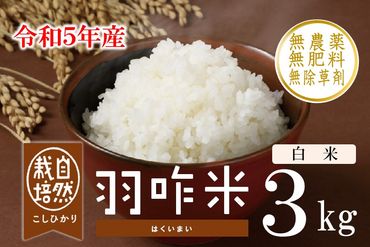 [A063] 【新米予約（11月発送）】【無農薬】【白米】能登のこだわり自然栽培こしひかり『羽咋米』 ３kg