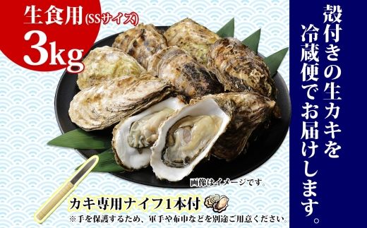 121-1277-06　殻付き牡蠣 仙極かき SSサイズ 3kg 生食用 かきナイフ付 牡蠣 かき カキ 冷蔵 北海道 釧路町