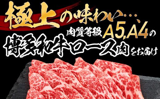 数量限定　博多和牛ロース焼肉用　500g