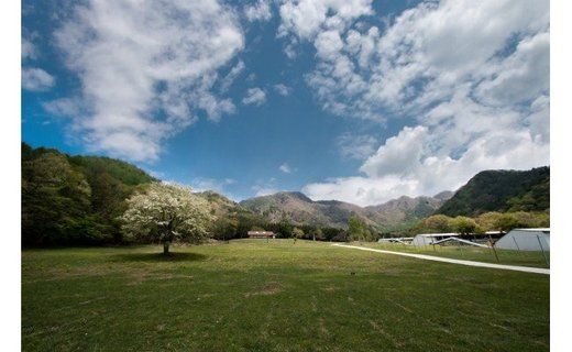 黒富士農場の卵食べ比べセット 30個　人気　おすすめ　国産　贈答　ギフト　お取り寄せ　卵　たまご　タマゴ　玉子　鶏卵　自然卵　放牧卵　平飼い　新鮮　たまごかけご飯　B-28