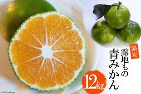 DD001 【令和8年9月下旬から順次発送】森崎果樹園の露地もの青みかん（12kg）[みかん ミカン オレンジ 果物 くだもの フルーツ 酸味 露地もの 青もの 長崎県 島原市]
