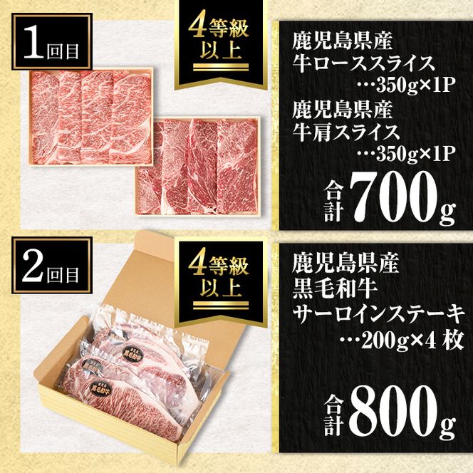 isa513 【定期便６回】満足贅沢 牛肉定期便(合計4.65kg超) 【サンキョーミート株式会社】
